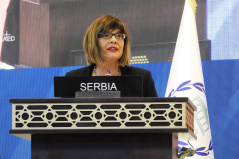 7 April 2019 National Assembly Speaker Maja Gojkovic at the 140th Assembly of the Inter-Parliamentary Union 